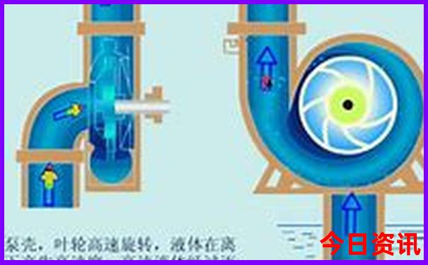 山东省哪个城市旅游最好
